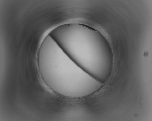 X0000094450960200711211515