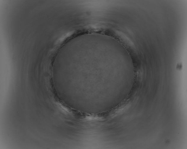 X0000094450961200711211515