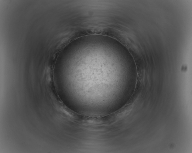 X0000094450962200711211515