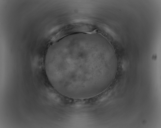 X0000094450965200711211515