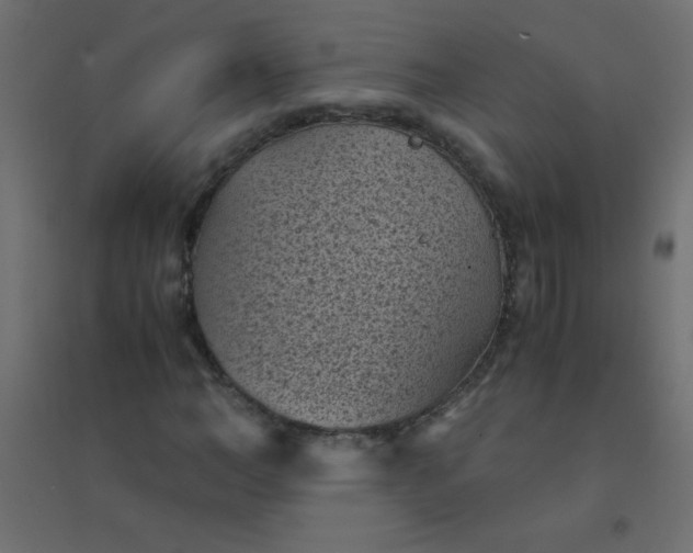 X0000094450966200711211515