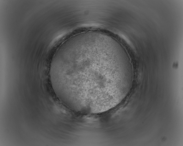 X0000094450967200711211515