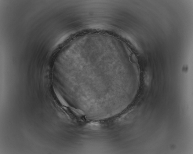 X0000094450968200711211515