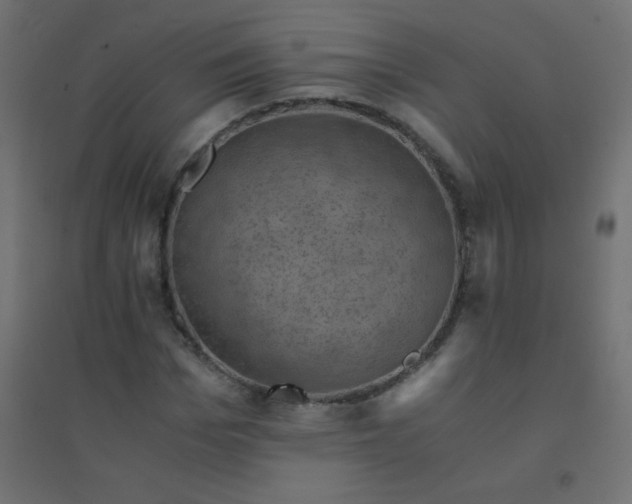 X0000094450969200711211515