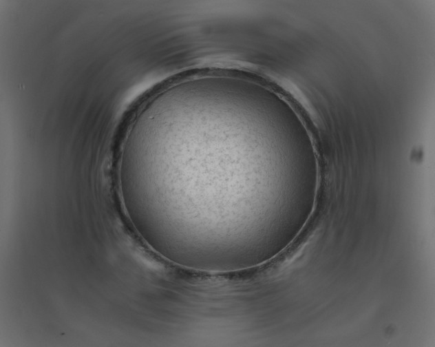 X0000094450971200711211515