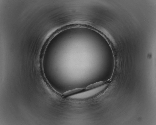 X0000094450972200711211515