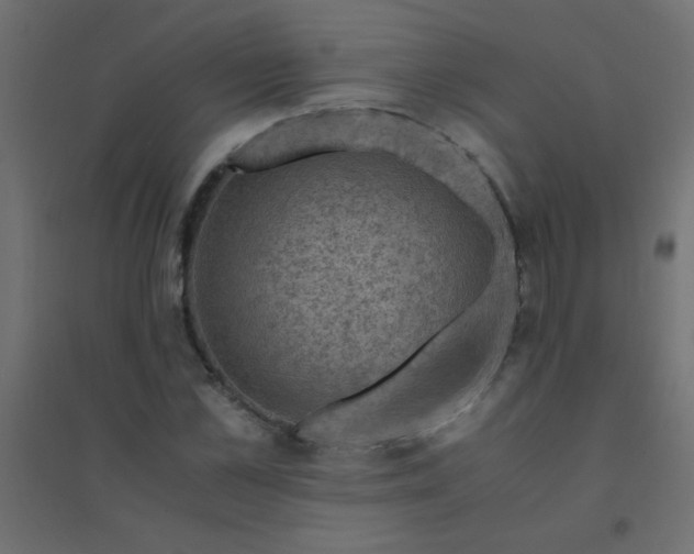 X0000094450973200711211515