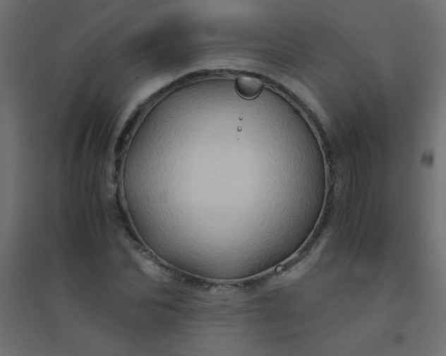 X0000094450974200711211515