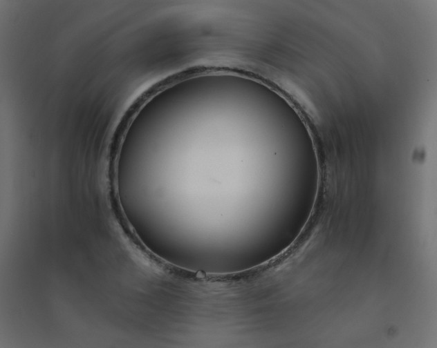 X0000094450976200711211515