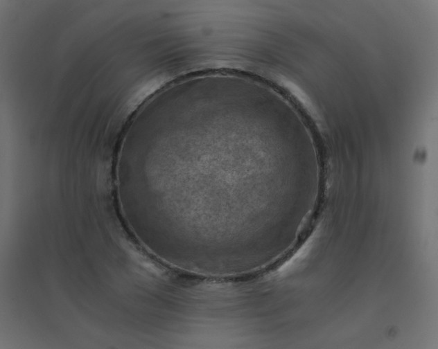 X0000094450977200711211515