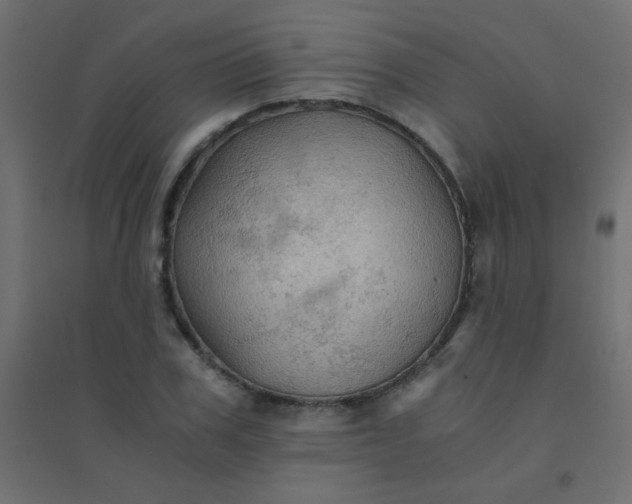 X0000094450979200711211515