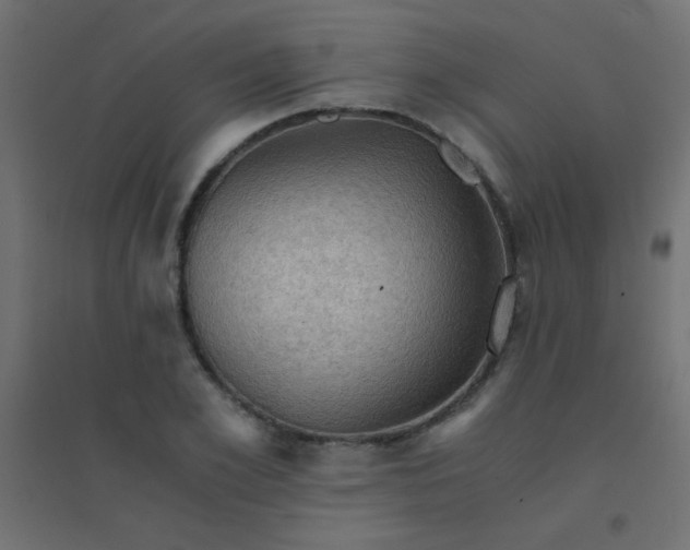 X0000094450981200711211514