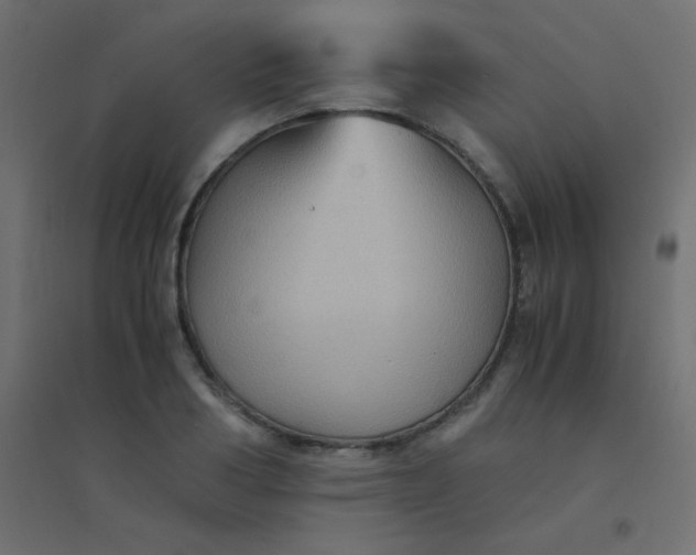 X0000094450986200711211514