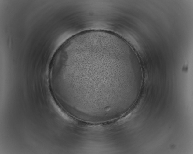 X0000094450990200711211514