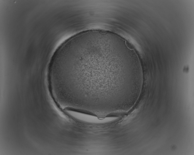 X0000094450991200711211514