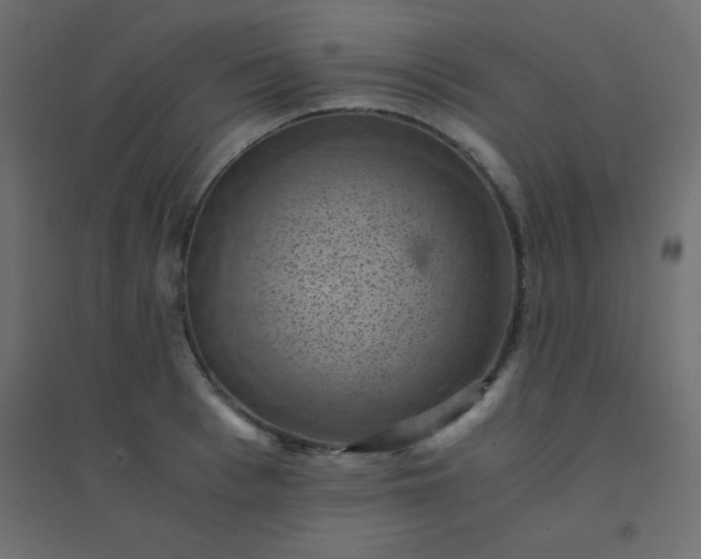 X0000094450993200711211514