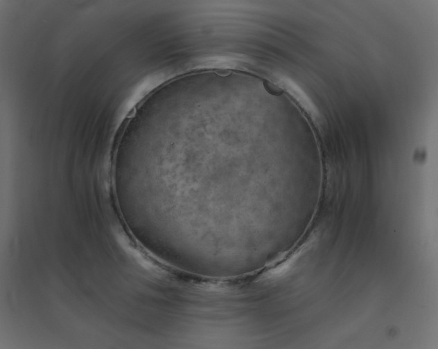 X0000094450994200711211514