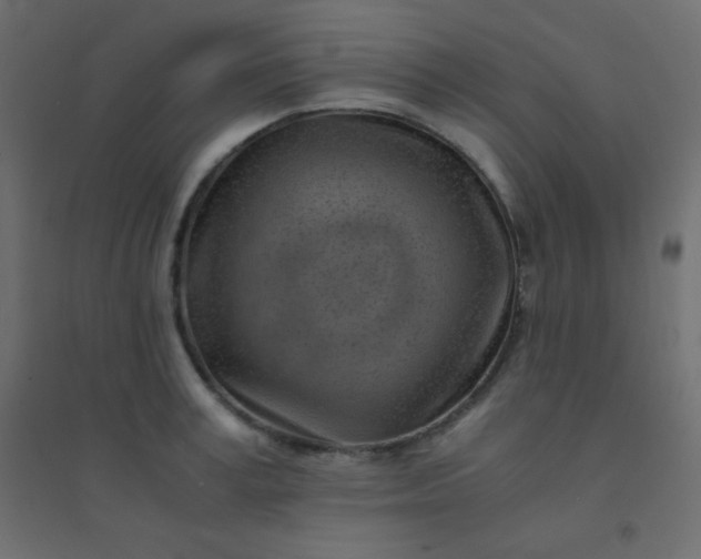 X0000094450995200711211514