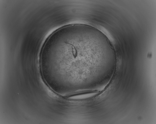 X0000094450996200711211514