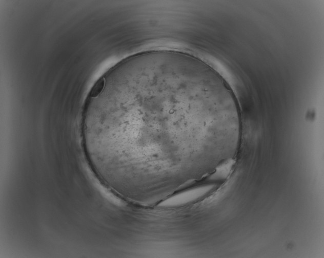 X0000094450997200711211514