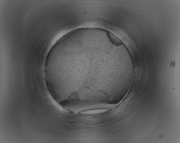 X0000094450998200711211514