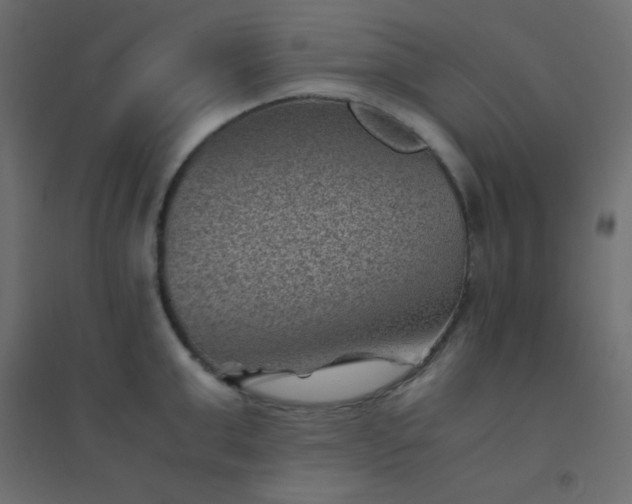 X0000094450999200711211514