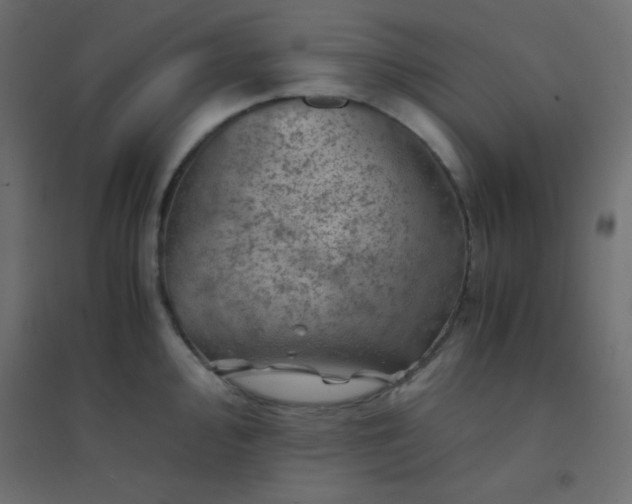 X0000094451000200711211514