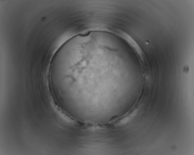 X0000094451002200711211514