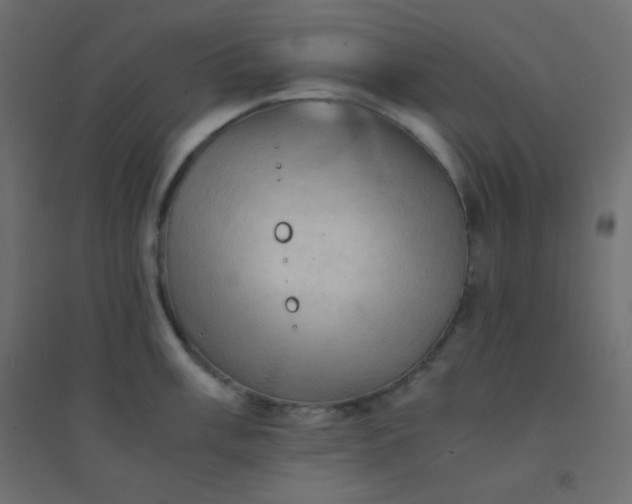 X0000094451003200711211514