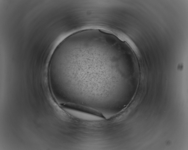 X0000094451004200711211514