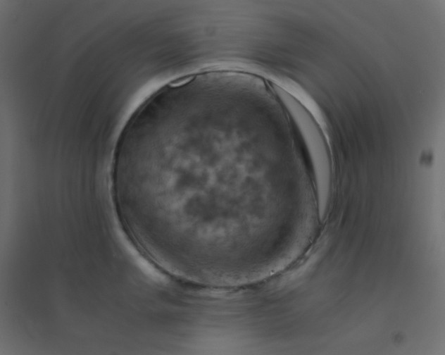 X0000094451005200711211514