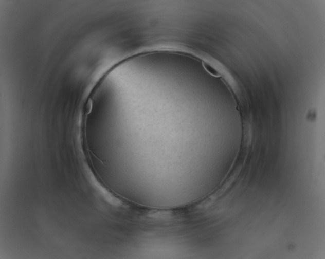 X0000094451006200711211514