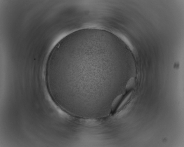 X0000094451007200711211514