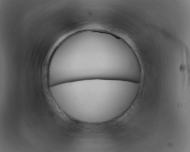 X0000094451008200711211514