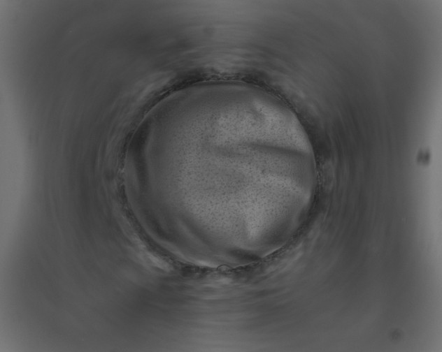 X0000094451009200711211513