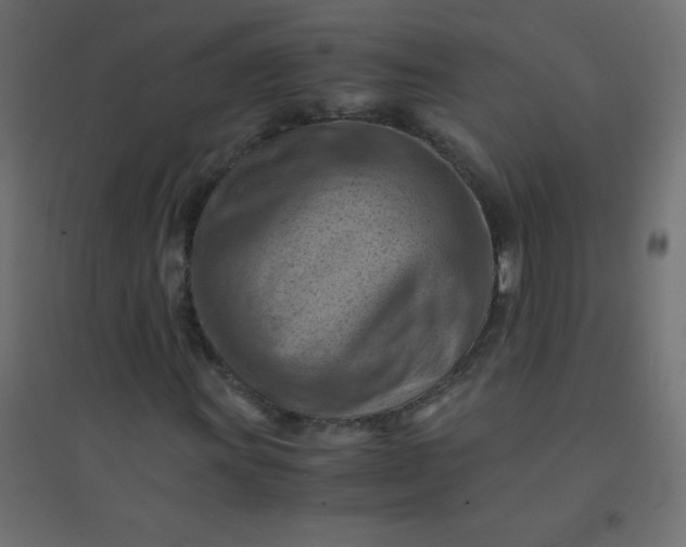 X0000094451011200711211513