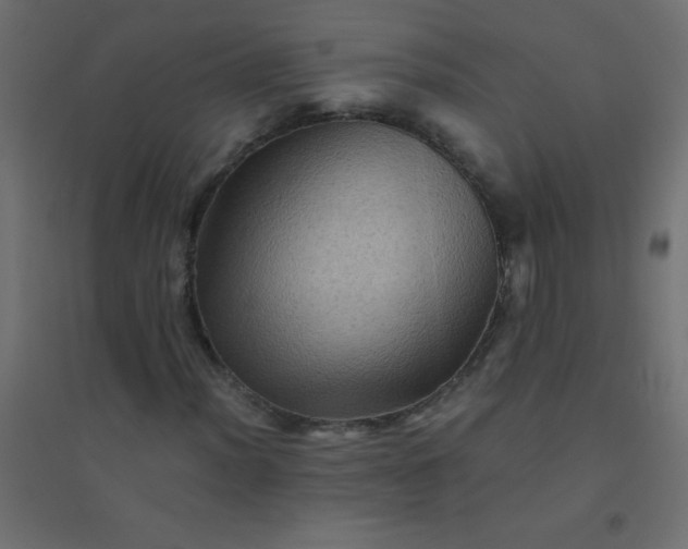 X0000094451012200711211513