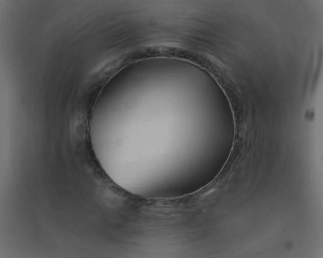 X0000094451014200711211514