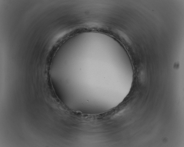 X0000094451016200711211514