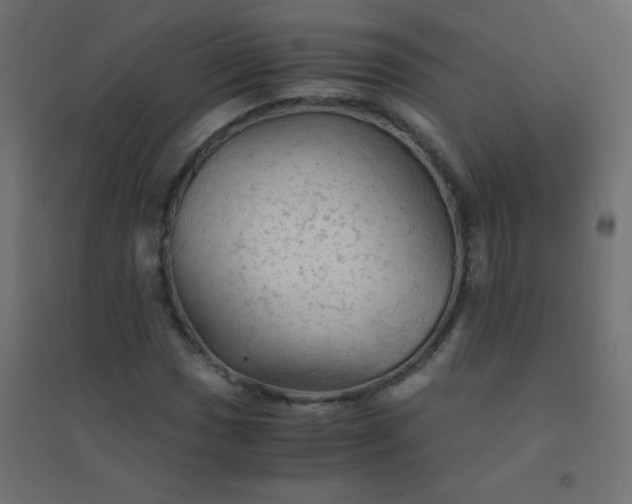 X0000094451017200711211514