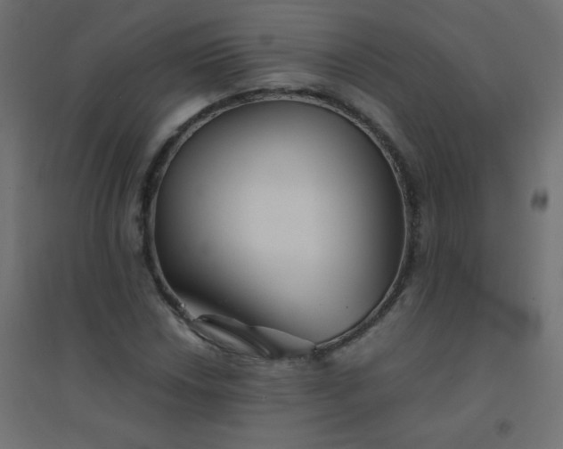 X0000094451018200711211514