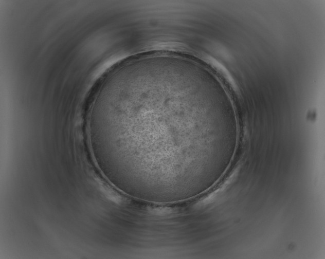 X0000094451019200711211514