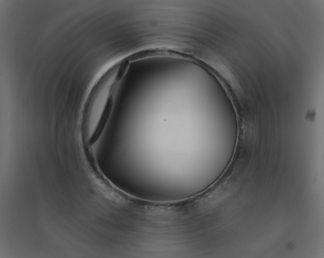 X0000094451020200711211514