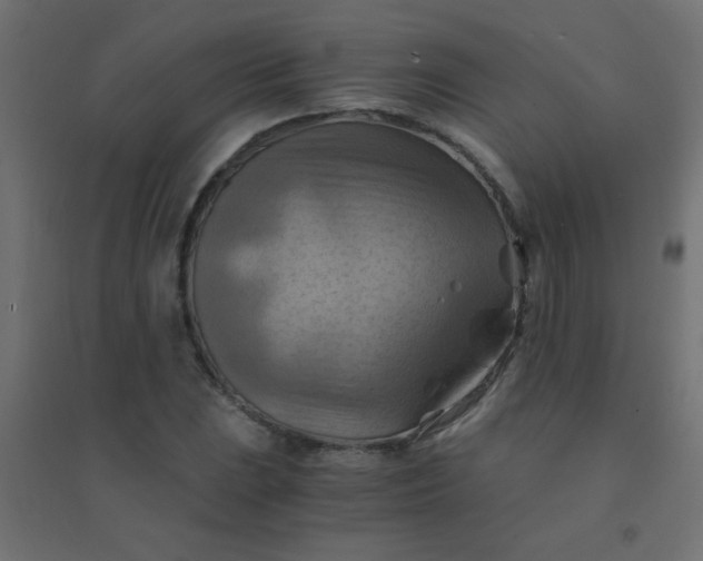 X0000094451023200711211514