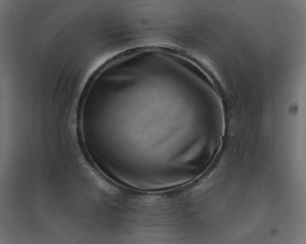 X0000094451024200711211514