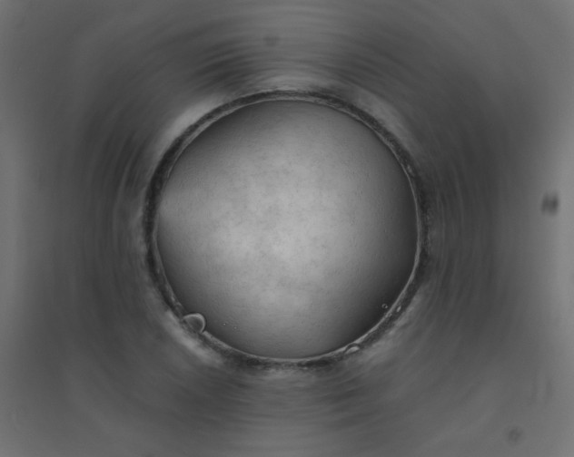 X0000094451026200711211514