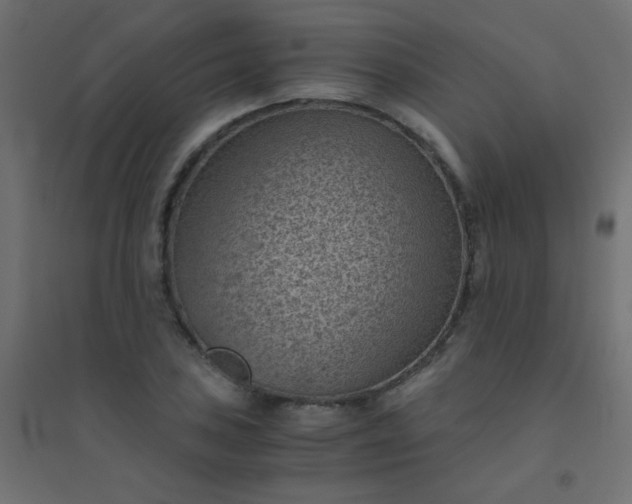 X0000094451027200711211514