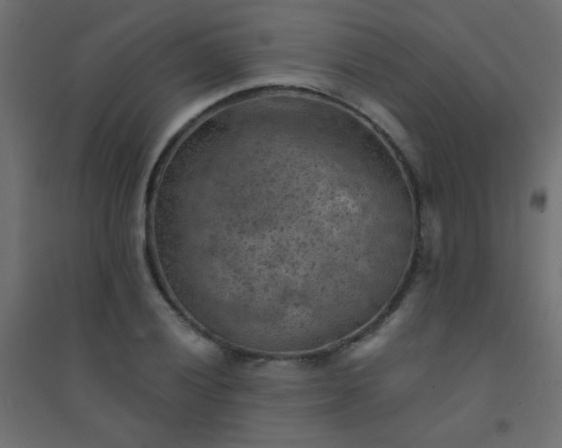 X0000094451028200711211514