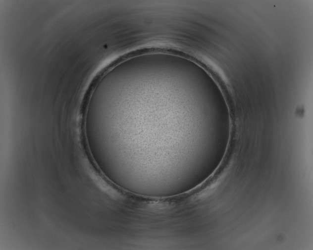 X0000094451029200711211514