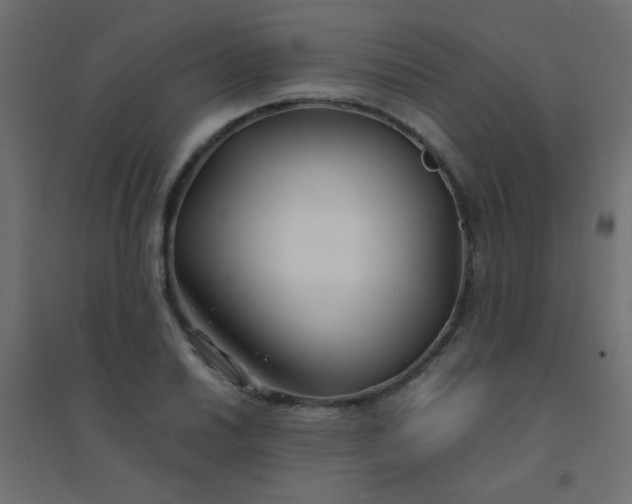 X0000094451030200711211514